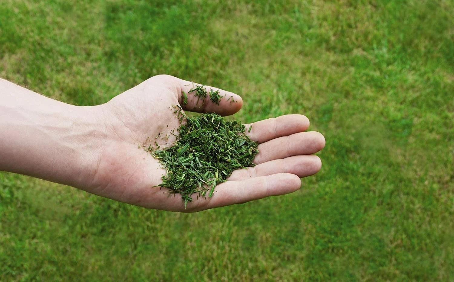 EINHELL - GC-PM 51/3 S HW Tondeuse Thermique Tractéee 51 Cm 170 Cc 2,7kW 1800m2 – Image 15