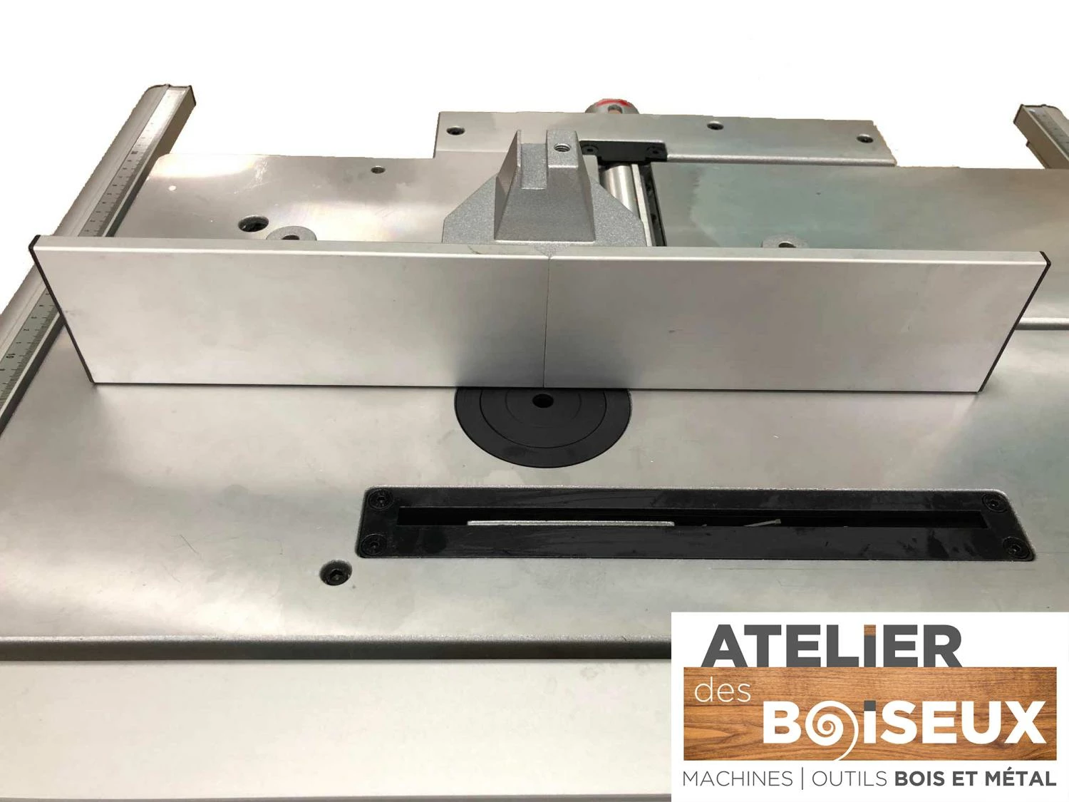 FEMI - CM 60-150 - Mini Combinée à Bois 6 Opérations 230V 1000W (1,35CV) – Image 11