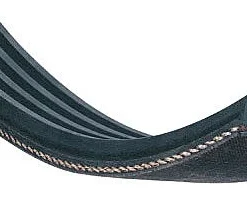 Courroie Poly-V 610 J 5 Pour "Kity Direct Drive"