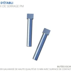 ÉTABLIS FRANÇOIS - PM Paire De Poteaux De Serrage Petit Modèle ø15 Mm - Acier Galvanisé